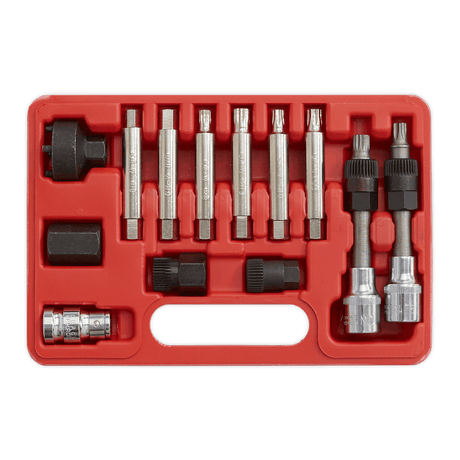 Sealey SX401 Alternator Freewheel Removal Set 13pc - SX401 - Sealey Tools UK - Trade Counter Direct