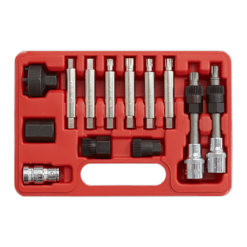 Sealey SX401 Alternator Freewheel Removal Set 13pc - SX401 - Sealey Tools UK - Trade Counter Direct