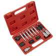 Sealey SX401 Alternator Freewheel Removal Set 13pc - SX401 - Sealey Tools UK - Trade Counter Direct