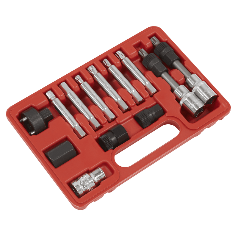 Sealey SX401 Alternator Freewheel Removal Set 13pc - SX401 - Sealey Tools UK - Trade Counter Direct