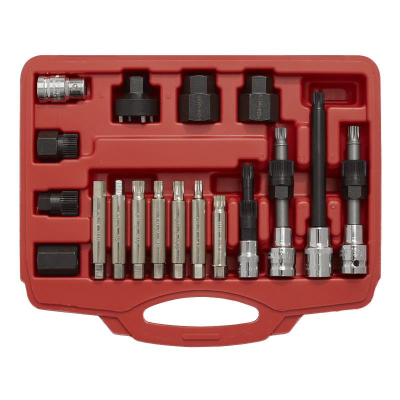 Sealey SX402 Alternator Freewheel Pulley Removal Set 18pc - SX402 - Sealey Tools UK - Trade Counter Direct