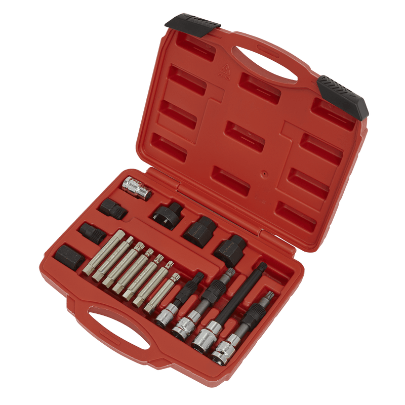 Sealey SX402 Alternator Freewheel Pulley Removal Set 18pc - SX402 - Sealey Tools UK - Trade Counter Direct
