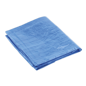 Sealey TARP1620 Tarpaulin 4.88 x 6.10m Blue - TARP1620 - Sealey Tools UK - Trade Counter Direct