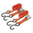 Sealey TD05025CS Cam Buckle Tie Down 25mm x 2.5m Polyester Webbing with S - Hooks 500kg Breaking Strength - TD05025CS - Sealey Tools UK - Trade Counter Direct