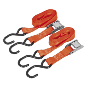 Sealey TD05025CS Cam Buckle Tie Down 25mm x 2.5m Polyester Webbing with S - Hooks 500kg Breaking Strength - TD05025CS - Sealey Tools UK - Trade Counter Direct