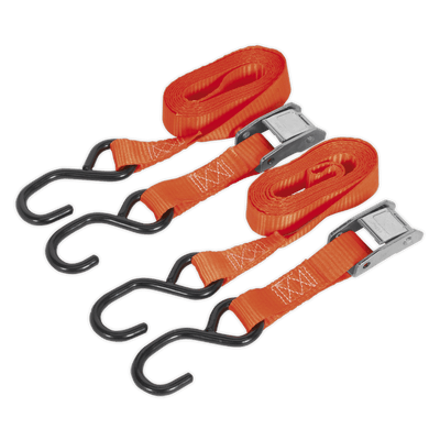 Sealey TD05025CS Cam Buckle Tie Down 25mm x 2.5m Polyester Webbing with S - Hooks 500kg Breaking Strength - TD05025CS - Sealey Tools UK - Trade Counter Direct