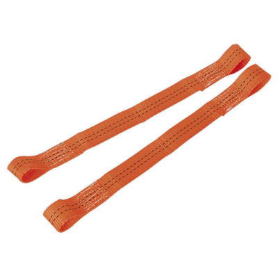 Sealey TDL01 Tie Down Securing Loop - Pair - TDL01 - Sealey Tools UK - Trade Counter Direct
