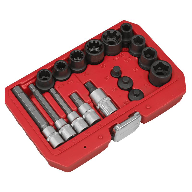 Sealey VS0465 Brake Caliper Socket Set 17pc - VS0465 - Sealey Tools UK - Trade Counter Direct
