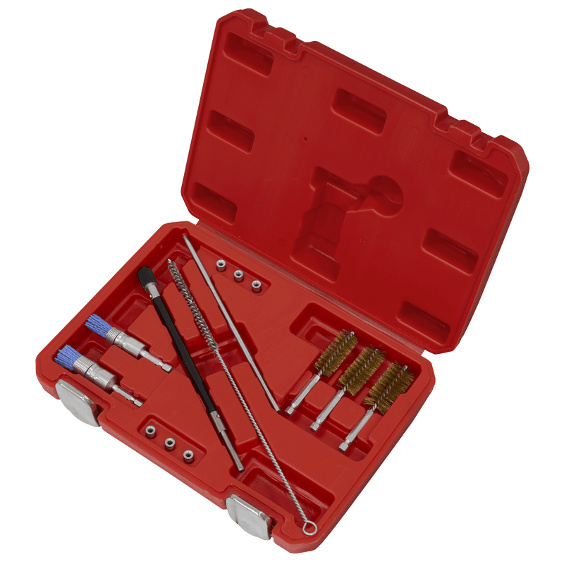 Sealey VS1900 Injector Bore Cleaning Brush Set 14pc - VS1900 - Sealey Tools UK - Trade Counter Direct