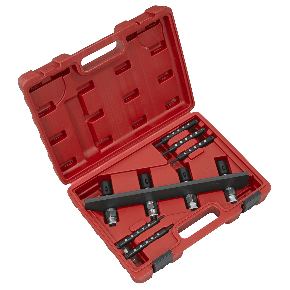 Sealey VS2081 Petrol Fuel Injection Removal/Installation Kit for BMW & Mini - VS2081 - Sealey Tools UK - Trade Counter Direct