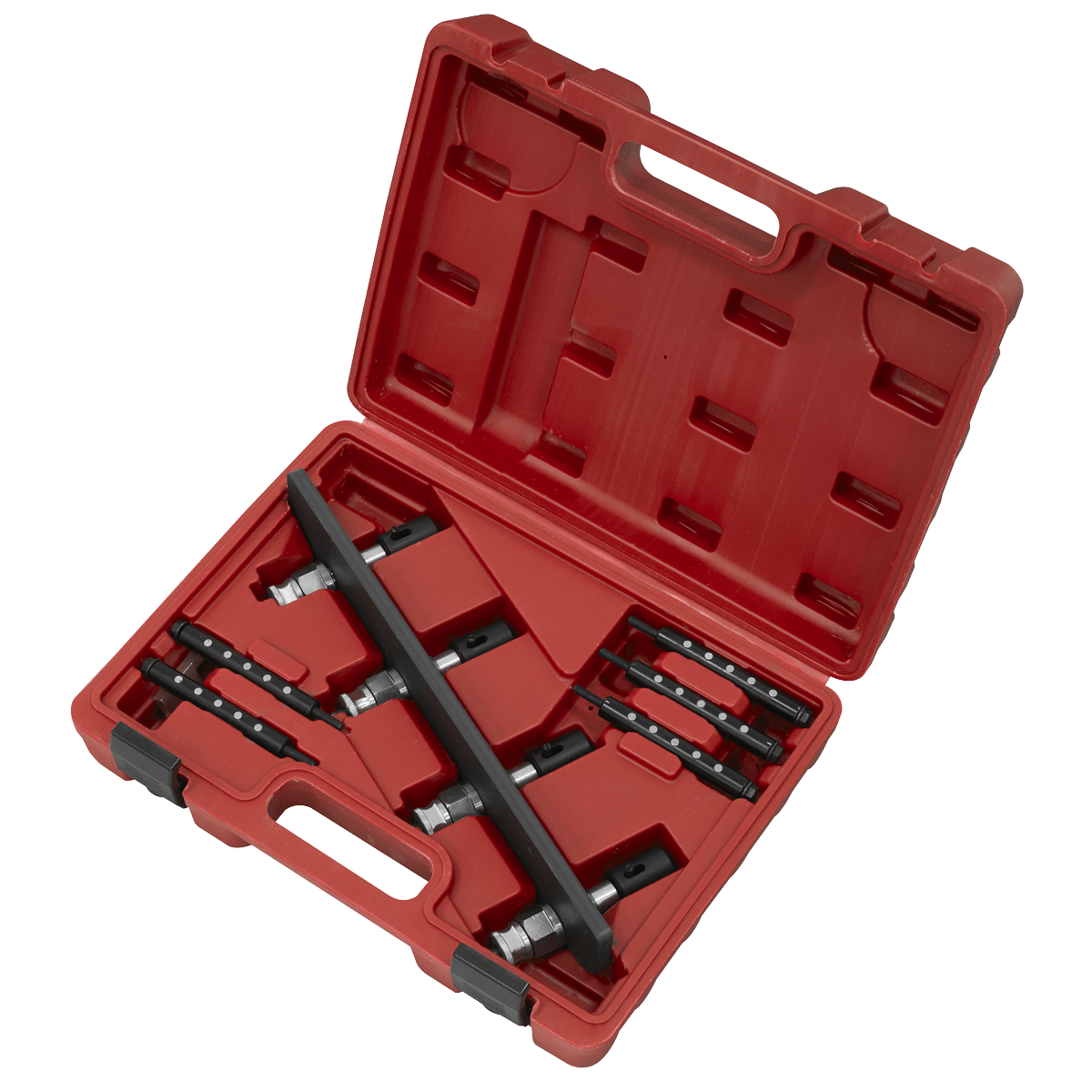 Sealey VS2081 Petrol Fuel Injection Removal/Installation Kit for BMW & Mini - VS2081 - Sealey Tools UK - Trade Counter Direct