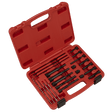 Sealey VS315 Glow Plug Heater Element Removal Set 8 & 10mm - VS315 - Sealey Tools UK - Trade Counter Direct
