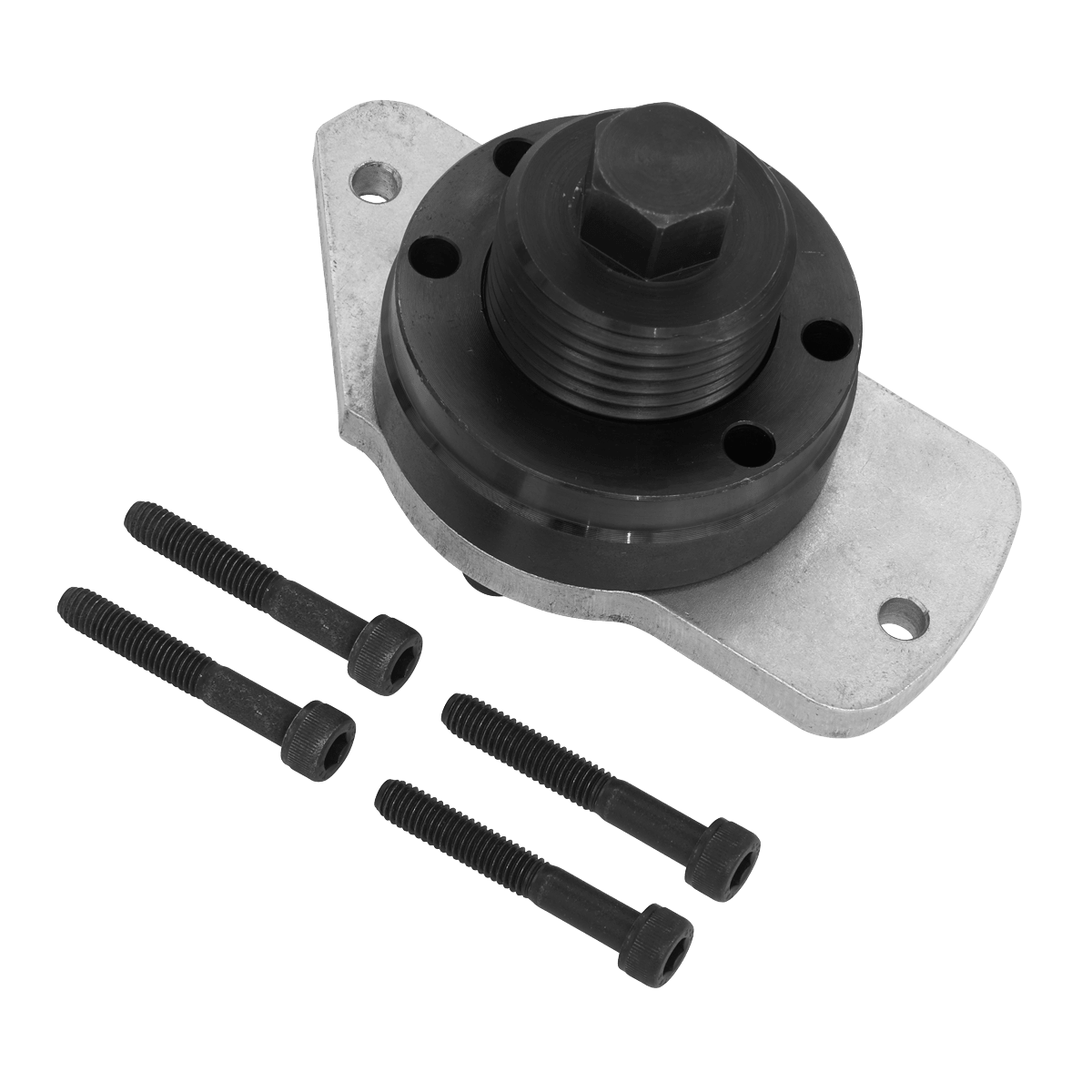 Sealey VSE3036 Fuel Pump Locking/Removal Tool for JLR 2.0D Ingenium Engine - VSE3036 - Sealey Tools UK - Trade Counter Direct