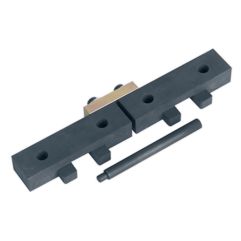 Sealey VSE4425 Petrol Engine Timing Tool Kit for BMW M42/M50/M52/M52TU/M54/M56 - Chain Drive - VSE4425 - Sealey Tools UK - Trade Counter Direct
