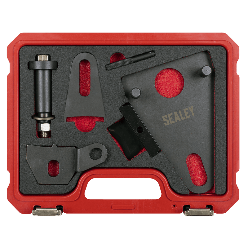 Sealey VSE5032 Front Pulley & Flywheel Locking Tool Set - Chain Drive - VSE5032 - Sealey Tools UK - Trade Counter Direct