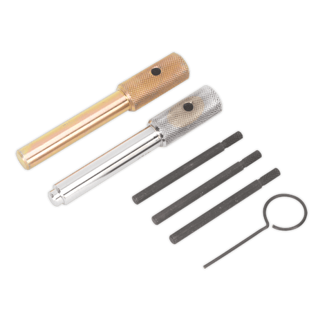 Sealey VSE5842 Diesel Engine Timing Tool Kit - for Ford, Fiat, JLR, LDV, PSA 2.0D/2.2D/2.4D/3.2D - Chain Drive - VSE5842 - Sealey Tools UK - Trade Counter Direct