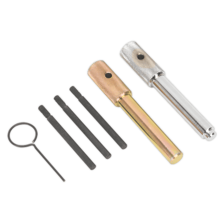 Sealey VSE5842 Diesel Engine Timing Tool Kit - for Ford, Fiat, JLR, LDV, PSA 2.0D/2.2D/2.4D/3.2D - Chain Drive - VSE5842 - Sealey Tools UK - Trade Counter Direct