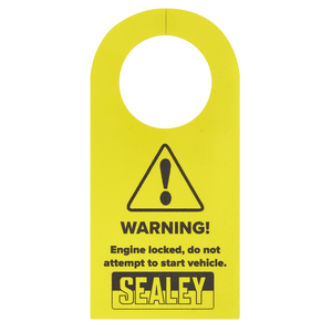 Sealey VSE6156 Petrol Engine Balance Shaft Alignment Tool Kit - for BMW, BMW Mini, Citroen, Peugeot - Chain Drive - VSE6156 - Sealey Tools UK - Trade Counter Direct