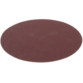 SIP 10" 120 Grit Fine Sanding Disc - SIP-06862 - SIP Tools UK - Trade Counter Direct