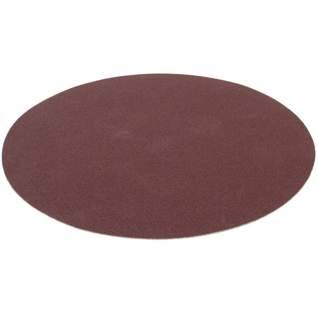 SIP 10" 120 Grit Fine Sanding Disc - SIP-06862 - SIP Tools UK - Trade Counter Direct
