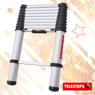 XMS26LADDER Christmas tools